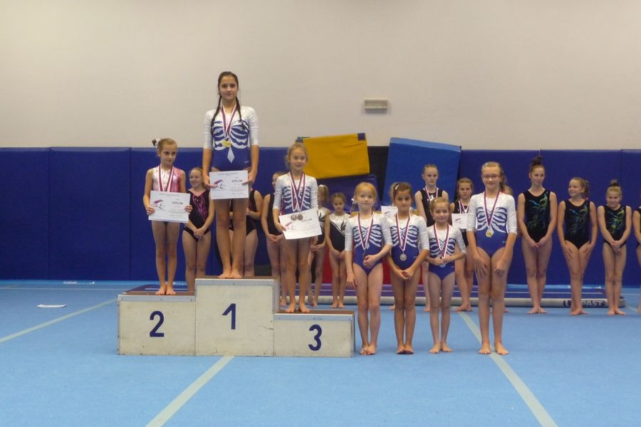 Šumperské sportovní gymnastky uspěly v Prostějově zdroj foto: oddíl