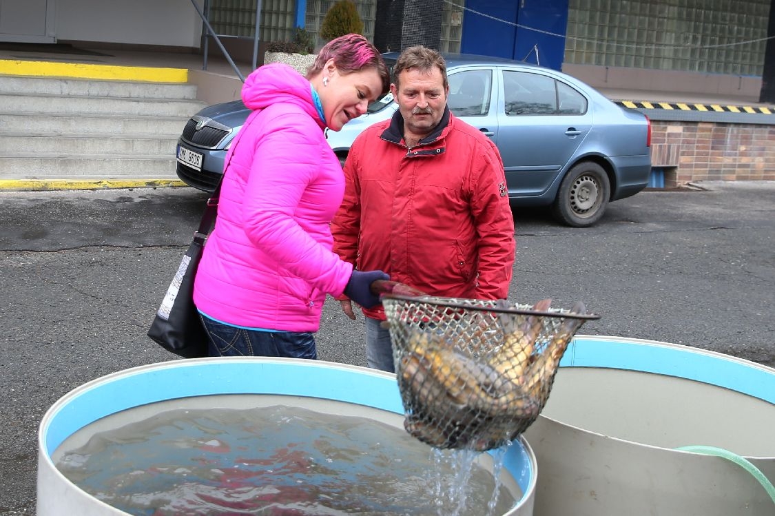 V Nemocnici Šumperk se ve středu rozdávali kapři foto: šumpersko.net - M. Jeřábek