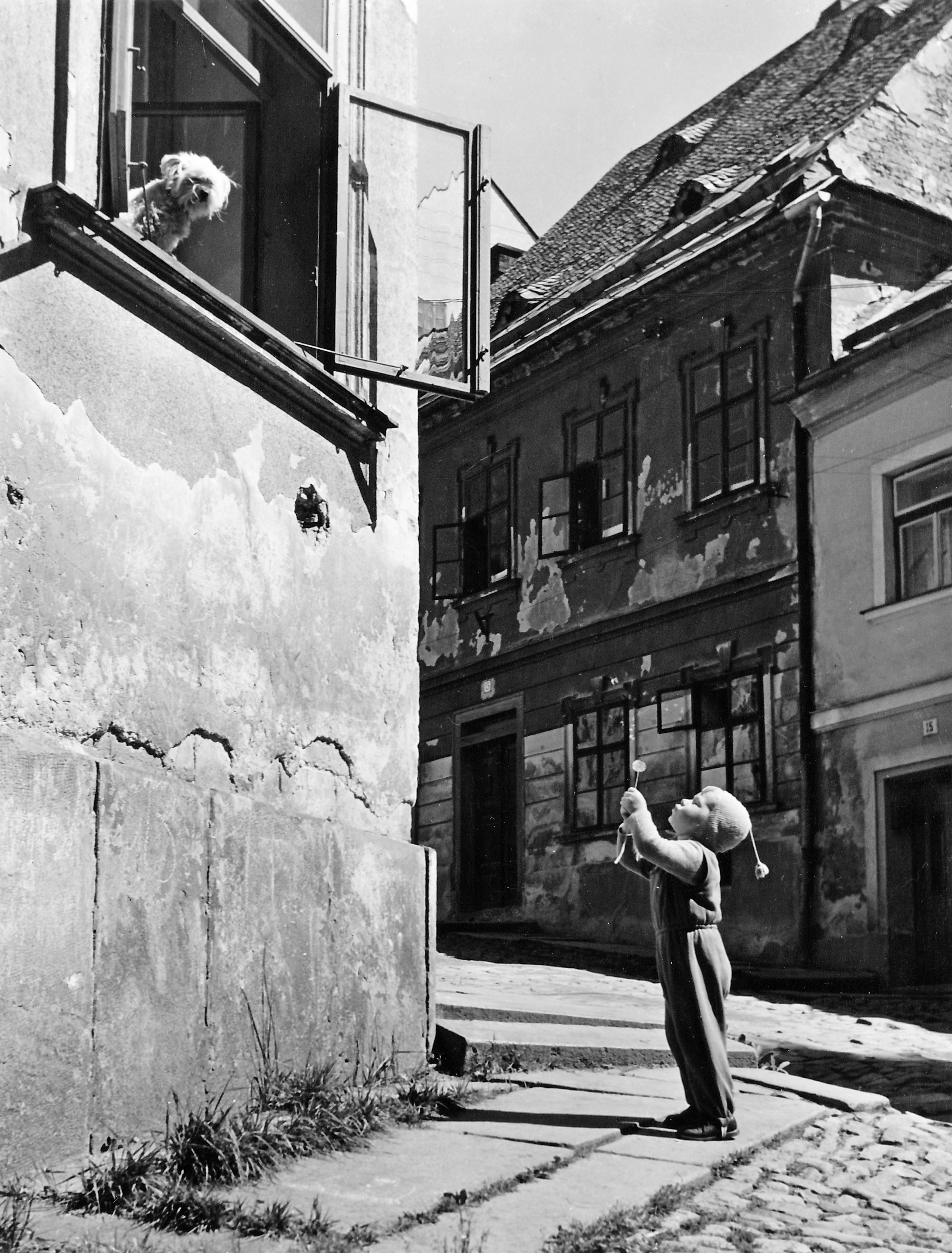 Kouzlo fotografie - pozvánka na výstavu zdroj foto: VMŠ