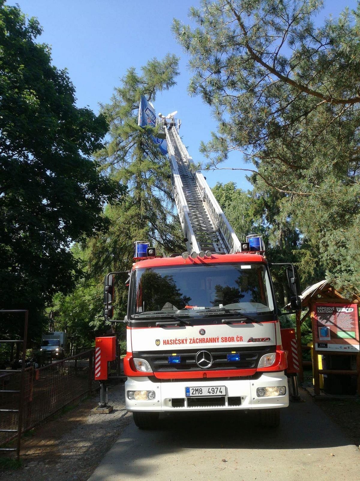 slunečník v ZOO zdroj foto: HZS Olk