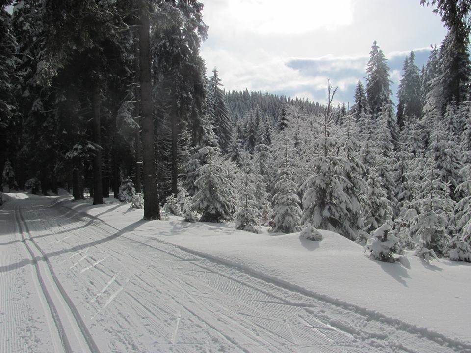 SkiTour míří za sněhem do Jeseníků zdroj foto: R. Valoušek