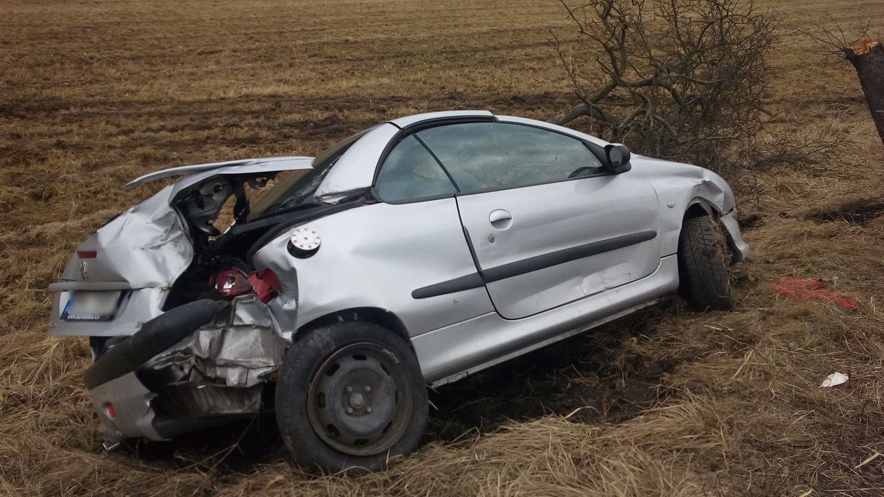 DN v úseku mezi Novým Malínem a Hrabišínem zdroj foto: PČR