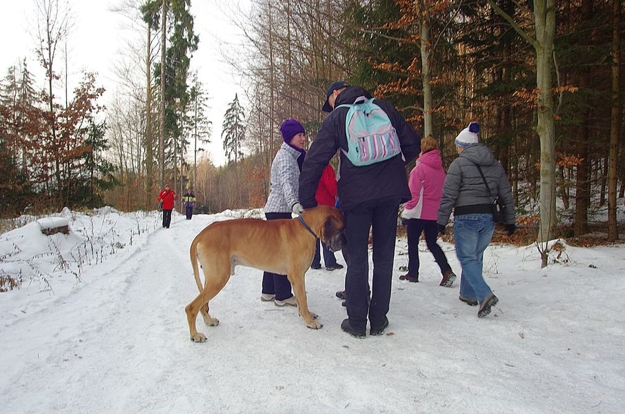 výstup na Háj 2013