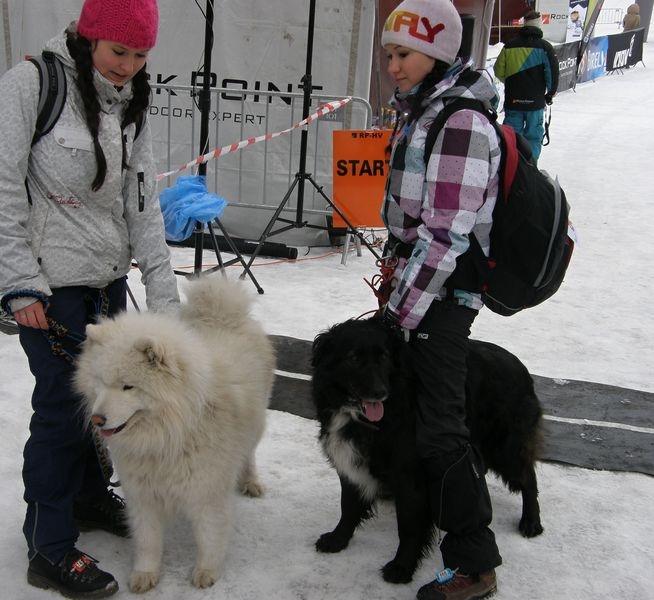 účastníci Dogtrekkingu