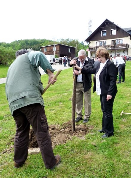 Strom za město Jeseník sázela starostka města