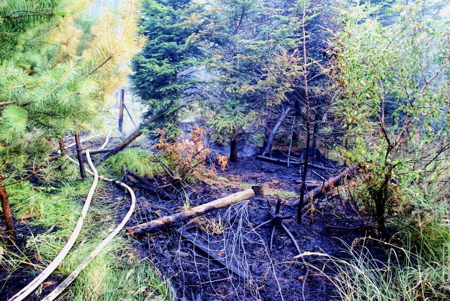 Požár lesa Týn nad Bečvou