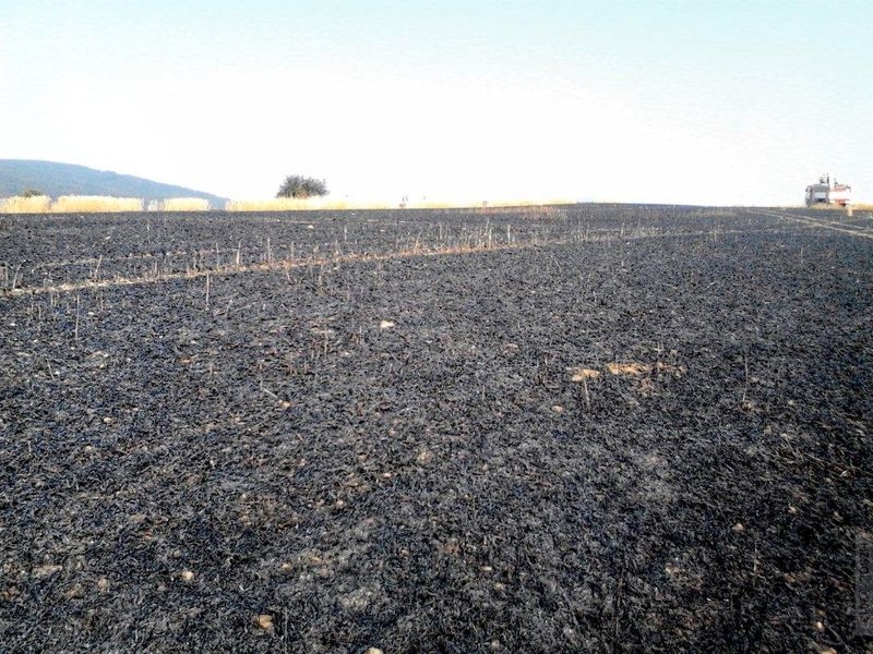 Hořelo pět hektarů pole u Nové Hradečné