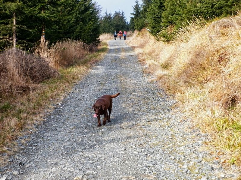 Beer treking - foto:archiv