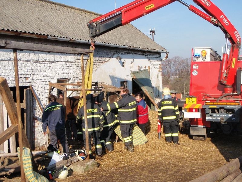 březí kobyla v Kovářově