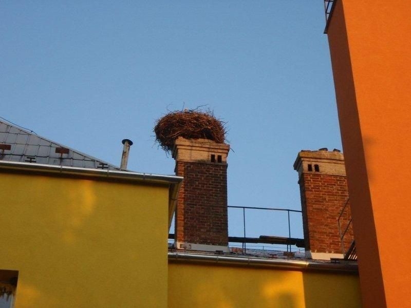 Dlouhá Loučka