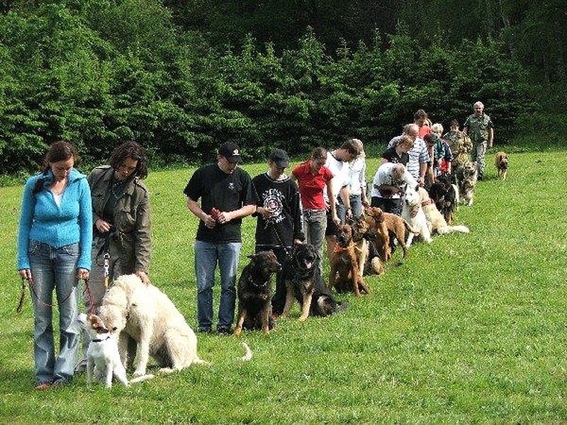 Šumperký hafan 2006 zdroj foto:Rej