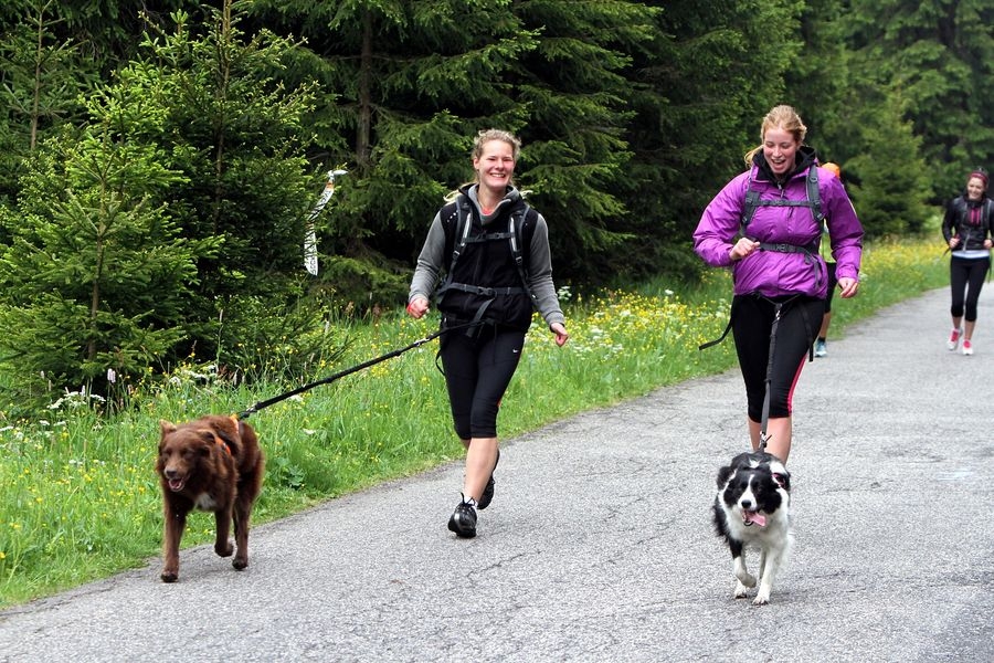 stále oblíbenější dogtreking