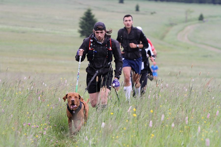 stále oblíbenější dogtreking