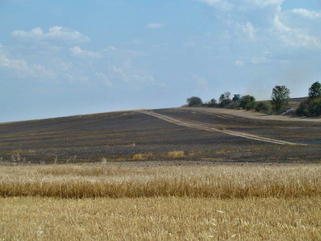 požár pole a části lesa Podolí (Šumpersko)