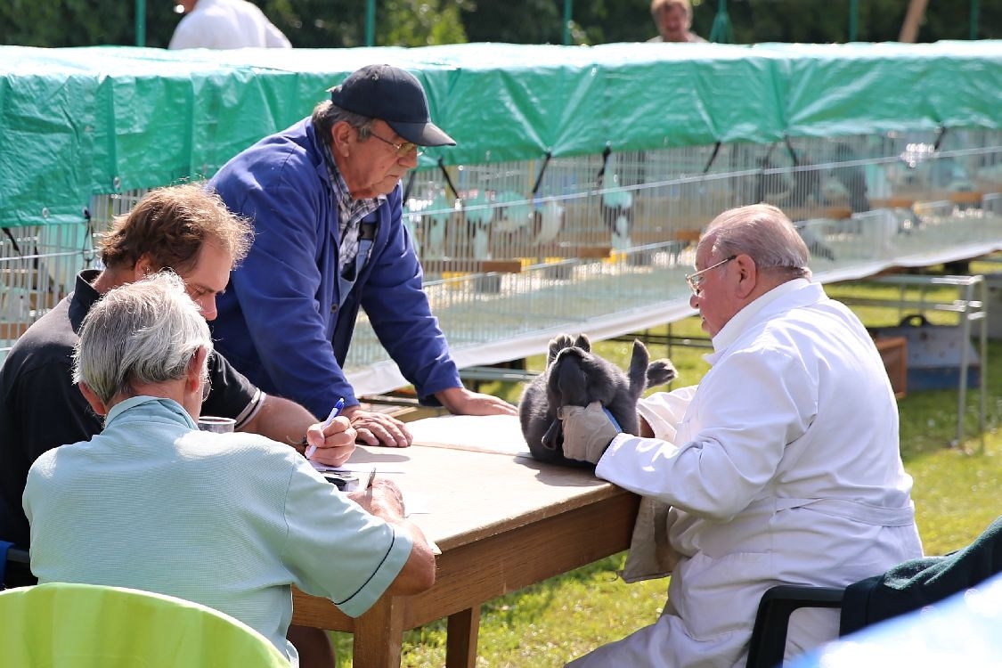 Výstava chovatelů 2014