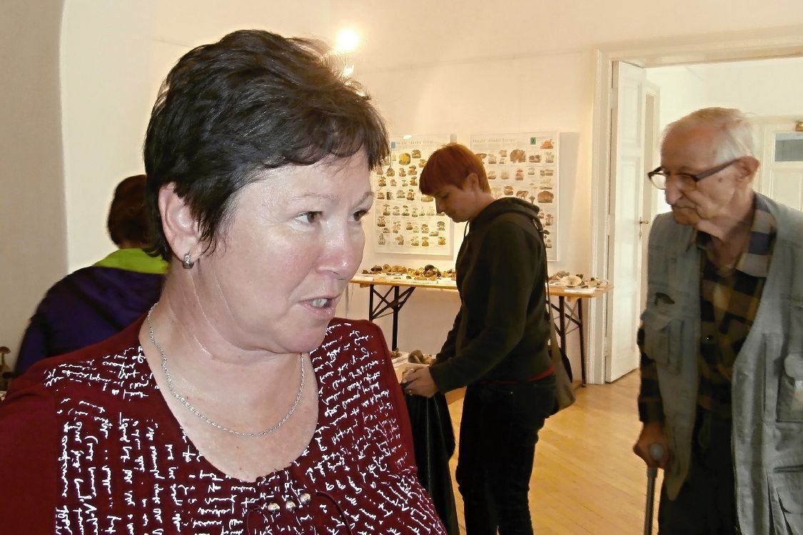 kurátorka výstavy Magda Zmrhalová