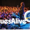 Festival Blues Alive získal nejprestižnější světové žánrové ocenění!