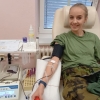 Šumperská Transfúzní služba zažila první dvoudenní hromadný odběr
