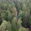Lesníci jsou připravení na rojení kůrovce