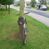 Řidič ve Velkých Losinách přehlédl cyklistku