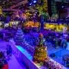 Flora Olomouc opět rozzářila podzim barvami
