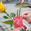 Dobrovolnické centrum poděkovalo zdravotníkům