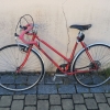 Nehody cyklistů na Šumpersku
