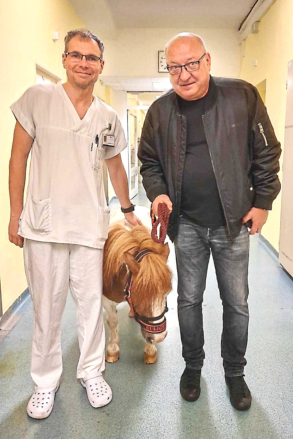 Návštěva Kuličky potěšila i přednostu Neurologické kliniky, profesora Petra Kaňovského (vpravo) a vedoucího lékaře Komplexního cerebrovaskulárního centra, profesora Daniela Šaňáka zdroj foto: FNOL