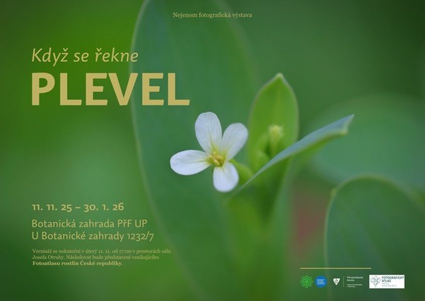 pozvánka na výstavu zdroj grafika: Botanická zahrada pozvánka na výstavu zdroj grafika: Botanická zahrada