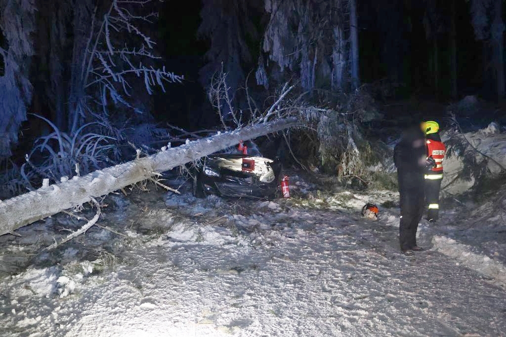 DN Travn&aacute; zdroj foto: PČR